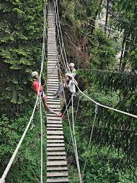 Adventure Park & Fly Line